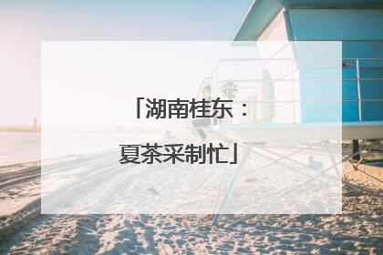 湖南桂东：夏茶采制忙
