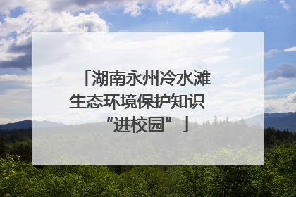 湖南永州冷水滩生态环境保护知识“进校园”