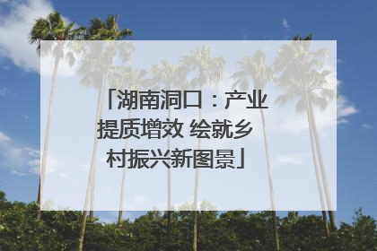 湖南洞口：产业提质增效 绘就乡村振兴新图景