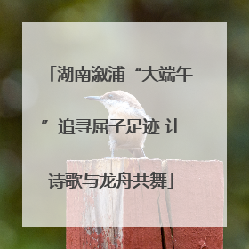 湖南溆浦“大端午”追寻屈子足迹 让诗歌与龙舟共舞