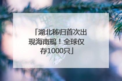 湖北秭归首次出现海南鳽！全球仅存1000只