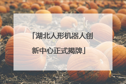 湖北人形机器人创新中心正式揭牌