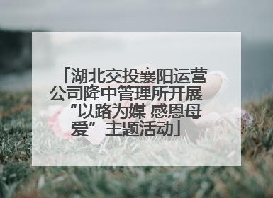 湖北交投襄阳运营公司隆中管理所开展“以路为媒 感恩母爱”主题活动