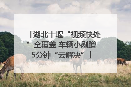 湖北十堰“视频快处”全覆盖 车辆小剐蹭5分钟“云解决”