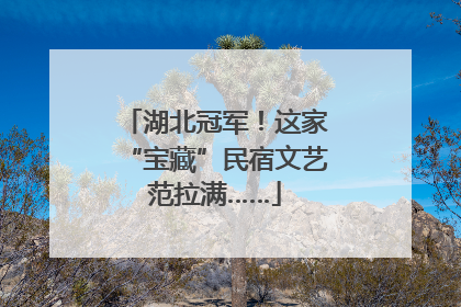 湖北冠军！这家“宝藏”民宿文艺范拉满……