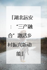湖北远安：“三产融合”激活乡村振兴新动能