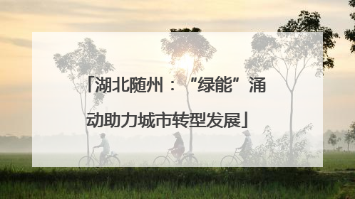 湖北随州：“绿能”涌动助力城市转型发展