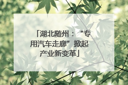 湖北随州：“专用汽车走廊”掀起产业新变革