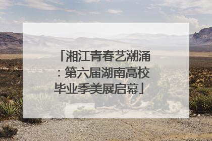 湘江青春艺潮涌：第六届湖南高校毕业季美展启幕