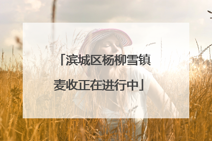 滨城区杨柳雪镇麦收正在进行中
