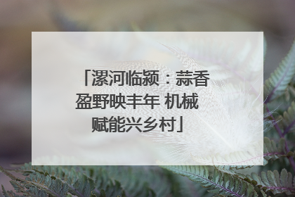 漯河临颍：蒜香盈野映丰年 机械赋能兴乡村