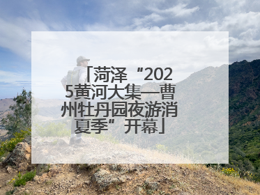 菏泽“2025黄河大集—曹州牡丹园夜游消夏季”开幕
