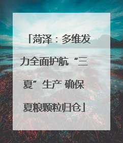 菏泽：多维发力全面护航“三夏”生产 确保夏粮颗粒归仓