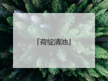 荷绽清池
