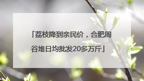 荔枝降到亲民价，合肥周谷堆日均批发20多万斤