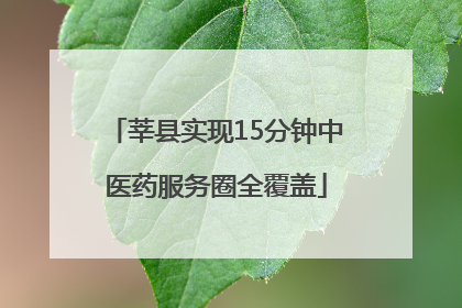 莘县实现15分钟中医药服务圈全覆盖