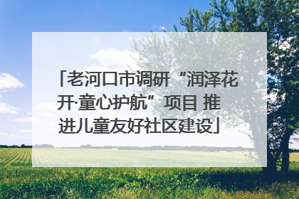老河口市调研“润泽花开·童心护航”项目 推进儿童友好社区建设