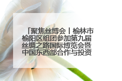聚焦丝博会丨榆林市榆阳区组团参加第九届丝绸之路国际博览会暨中国东西部合作与投资贸易洽谈会