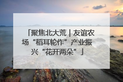 聚焦北大荒｜友谊农场“稻耳轮作”产业振兴“花开两朵”