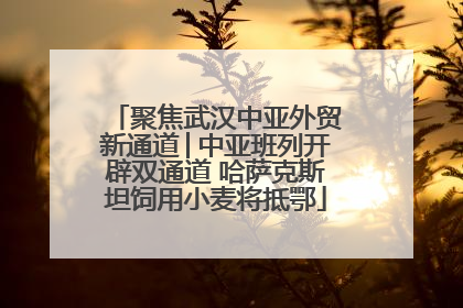 聚焦武汉中亚外贸新通道│中亚班列开辟双通道 哈萨克斯坦饲用小麦将抵鄂