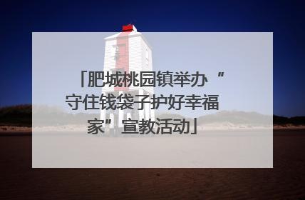 肥城桃园镇举办“守住钱袋子护好幸福家”宣教活动
