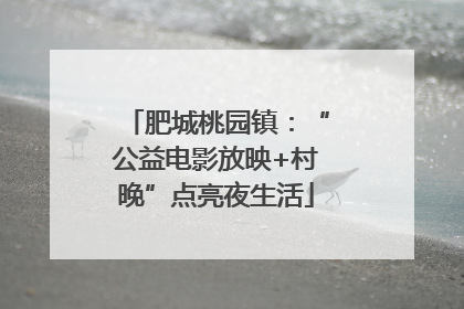 肥城桃园镇：“公益电影放映+村晚”点亮夜生活