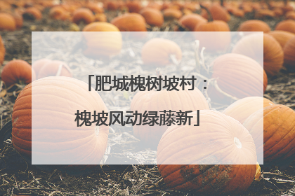 肥城槐树坡村：槐坡风动绿藤新