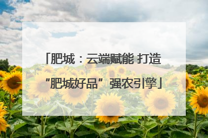 肥城：云端赋能 打造“肥城好品”强农引擎