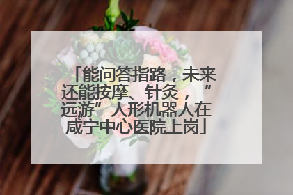 能问答指路，未来还能按摩、针灸，“远游”人形机器人在咸宁中心医院上岗