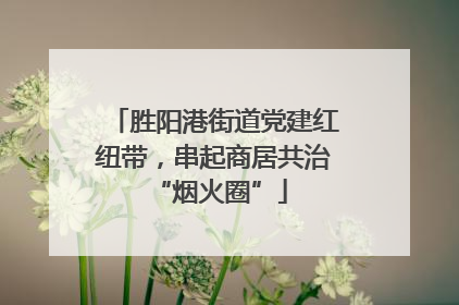 胜阳港街道党建红纽带，串起商居共治 “烟火圈”