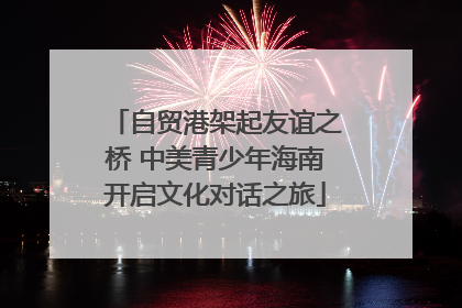 自贸港架起友谊之桥 中美青少年海南开启文化对话之旅