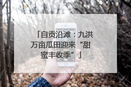 自贡沿滩：九洪万亩瓜田迎来“甜蜜丰收季”