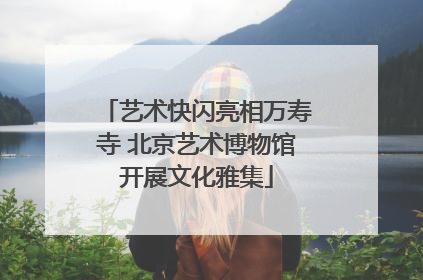艺术快闪亮相万寿寺 北京艺术博物馆开展文化雅集
