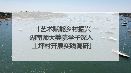 艺术赋能乡村振兴 湖南师大美院学子深入土坪村开展实践调研