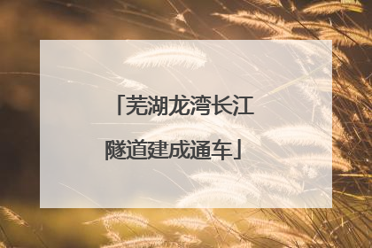 芜湖龙湾长江隧道建成通车