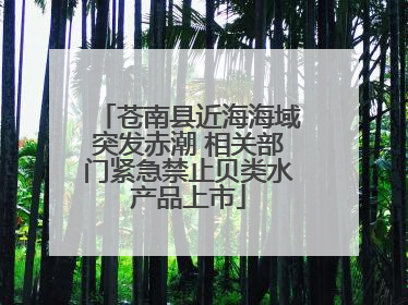 苍南县近海海域突发赤潮 相关部门紧急禁止贝类水产品上市