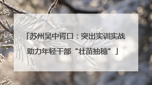 苏州吴中胥口：突出实训实战 助力年轻干部“壮苗抽穗”