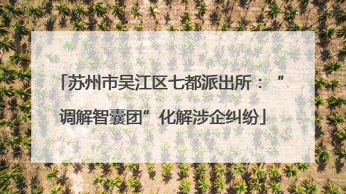 苏州市吴江区七都派出所：“调解智囊团”化解涉企纠纷