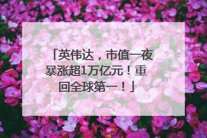 英伟达，市值一夜暴涨超1万亿元！重回全球第一！