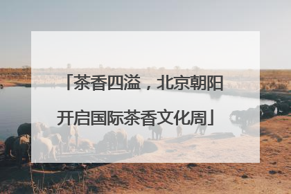 茶香四溢，北京朝阳开启国际茶香文化周