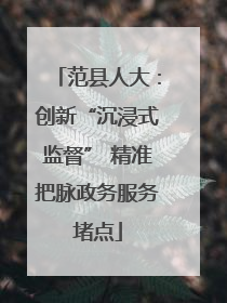 范县人大：创新“沉浸式监督” 精准把脉政务服务堵点