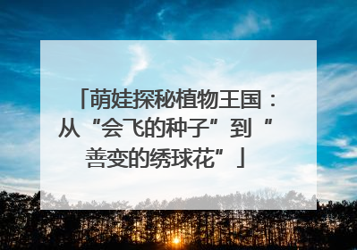 萌娃探秘植物王国：从“会飞的种子”到“善变的绣球花”