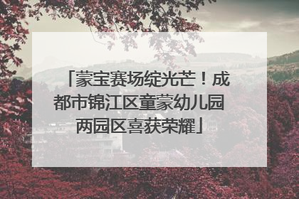 蒙宝赛场绽光芒！成都市锦江区童蒙幼儿园两园区喜获荣耀