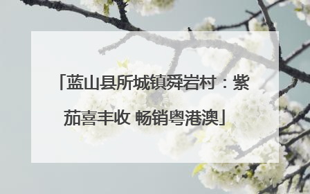蓝山县所城镇舜岩村：紫茄喜丰收 畅销粤港澳