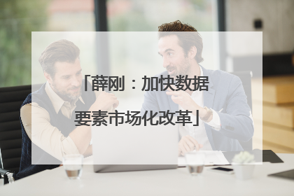 薛刚：加快数据要素市场化改革