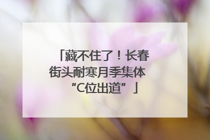 藏不住了！长春街头耐寒月季集体“C位出道”