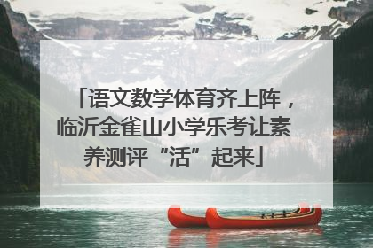 语文数学体育齐上阵，临沂金雀山小学乐考让素养测评“活”起来