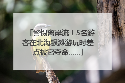 警惕离岸流！5名游客在北海银滩游玩时差点被它夺命……