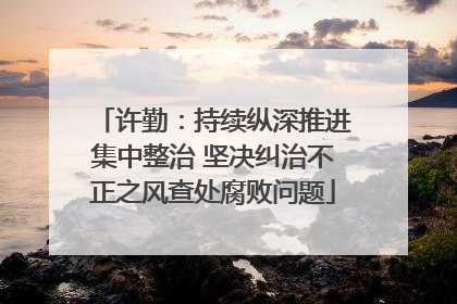 许勤：持续纵深推进集中整治 坚决纠治不正之风查处腐败问题