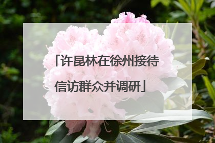 许昆林在徐州接待信访群众并调研
